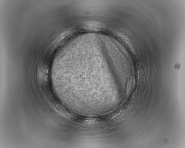 X0000093510596200710261159