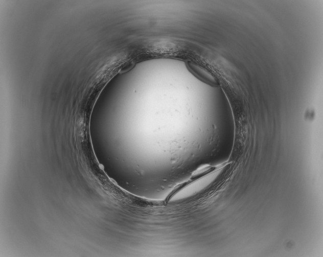 X0000093510597200710261159