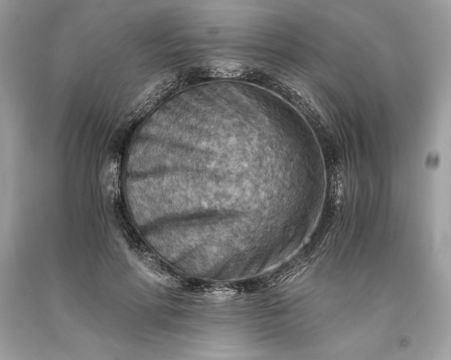 X0000093510598200710261159