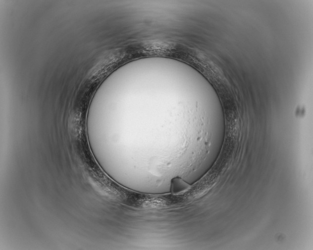 X0000093510599200710261159