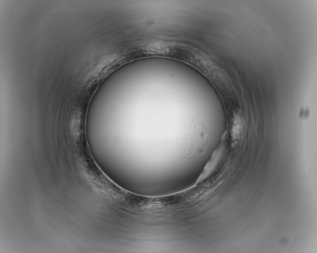 X0000093510600200710261159