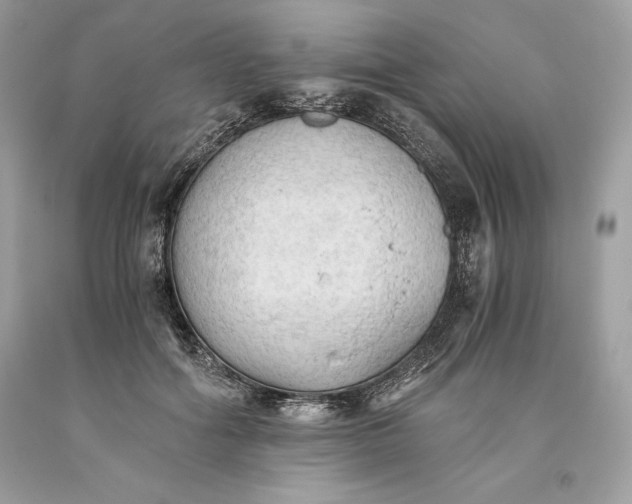 X0000093510602200710261159