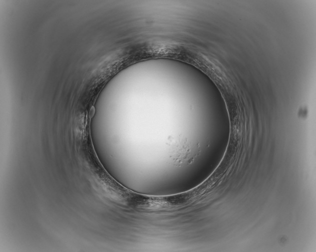 X0000093510605200710261159