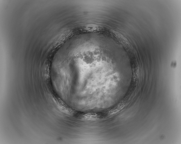 X0000093510606200710261159