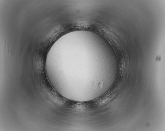 X0000093510608200710261159