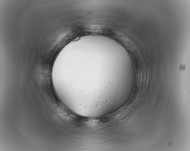 X0000093510609200710261159