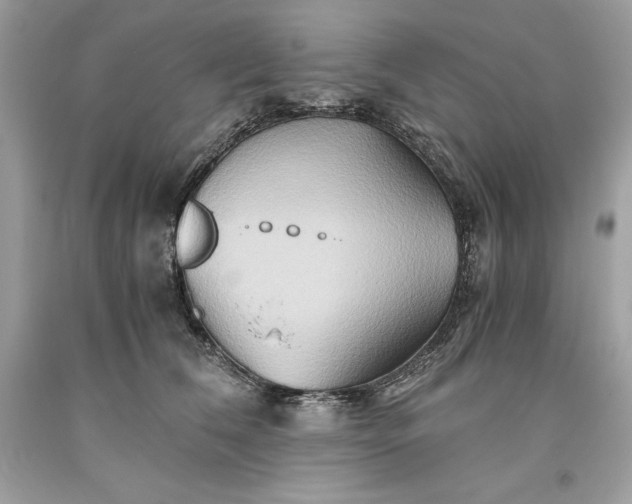 X0000093510612200710261159