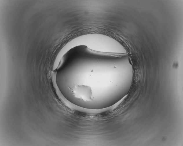 X0000093510613200710261159