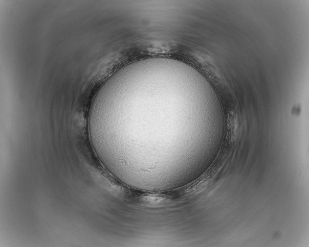 X0000093510614200710261159