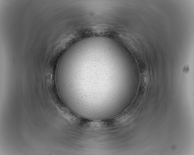 X0000093510615200710261159