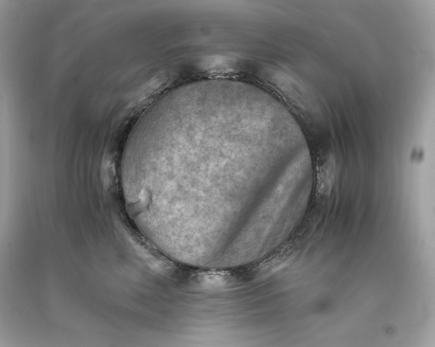 X0000093510618200710261159