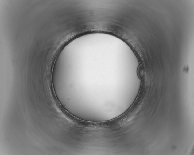 X0000093510625200710261158