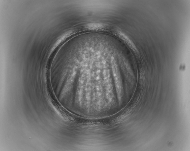 X0000093510626200710261158