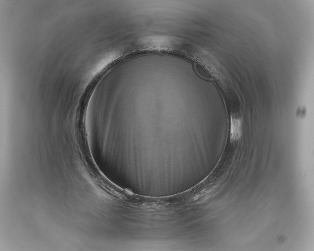 X0000093510627200710261158