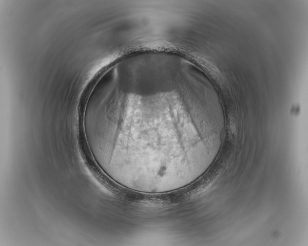 X0000093510630200710261158