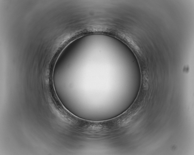 X0000093510631200710261158