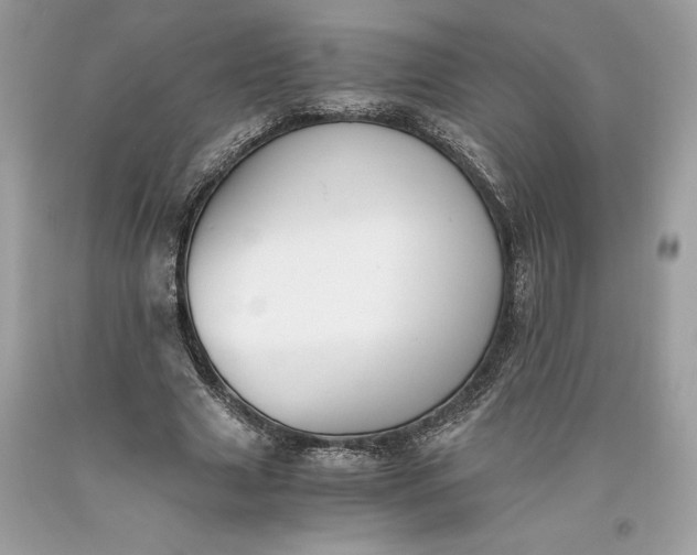 X0000093510633200710261158