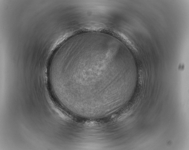 X0000093510634200710261158