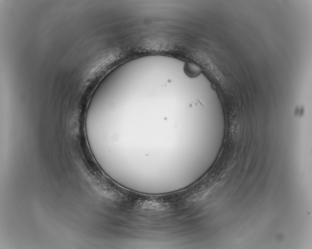 X0000093510635200710261158