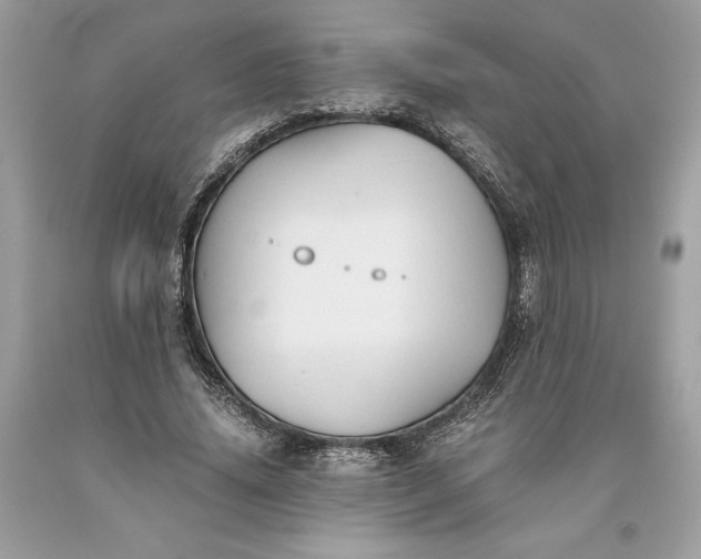 X0000093510636200710261158