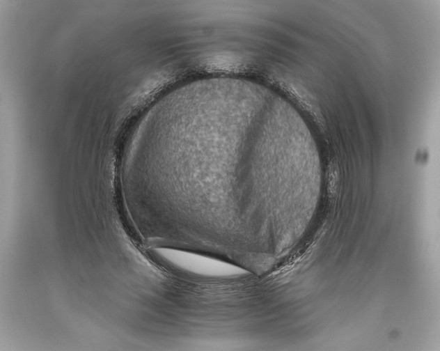 X0000093510637200710261158