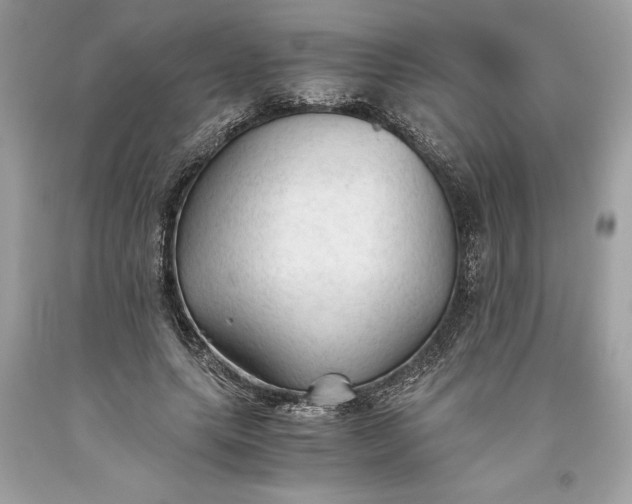 X0000093510639200710261158