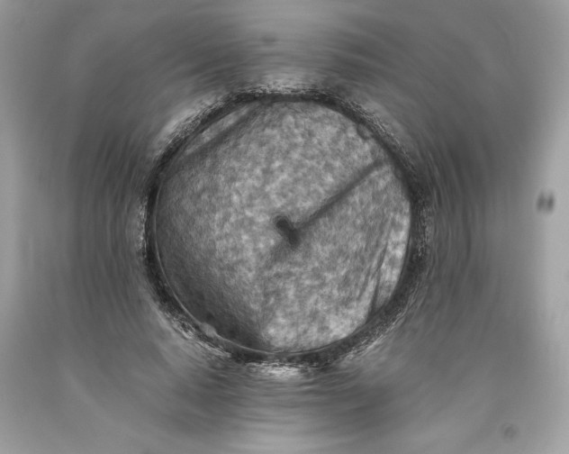 X0000093510640200710261158