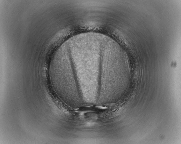 X0000093510643200710261158