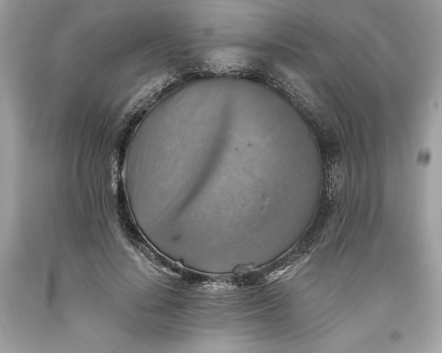 X0000093510644200710261158