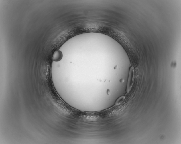 X0000093510645200710261158