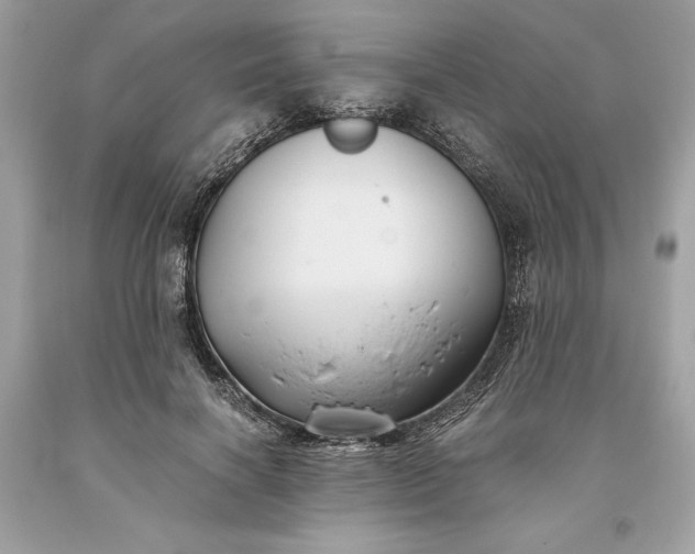 X0000093510646200710261158