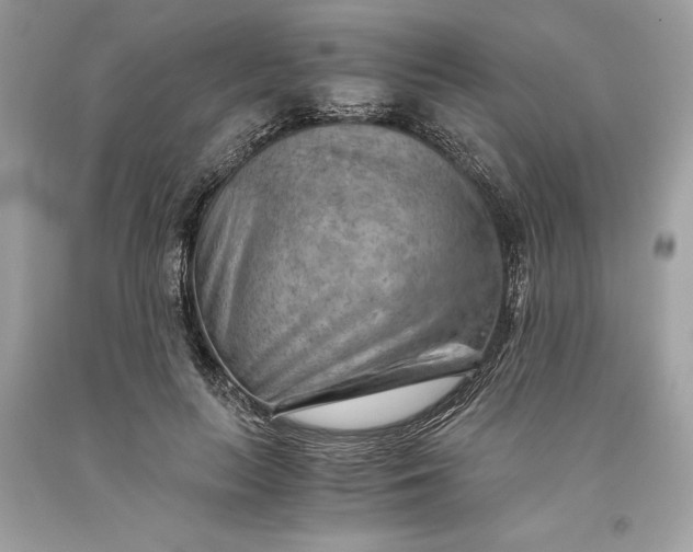 X0000093510647200710261158