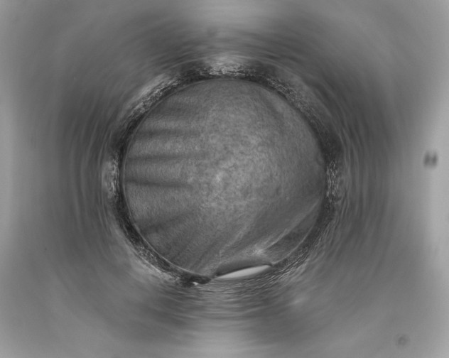 X0000093510648200710261158