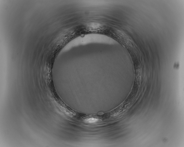 X0000093510653200710261158