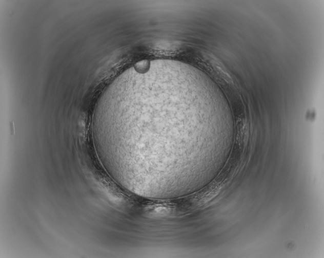 X0000093510655200710261158