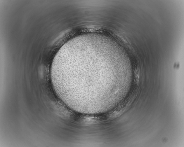 X0000093510657200710261158