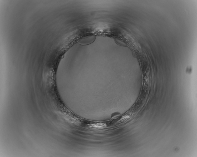 X0000093510659200710261158