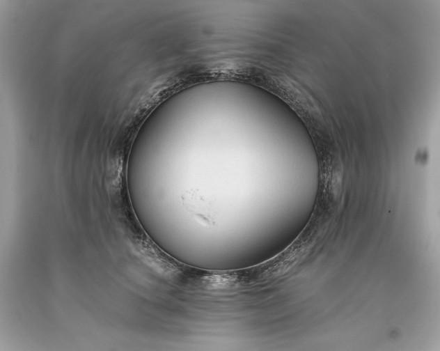 X0000093510660200710261158