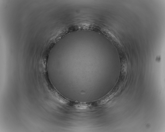 X0000093510661200710261158