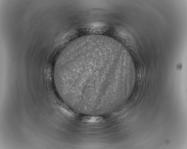 X0000093510663200710261158