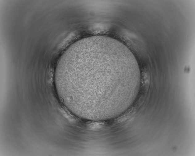 X0000093510664200710261158