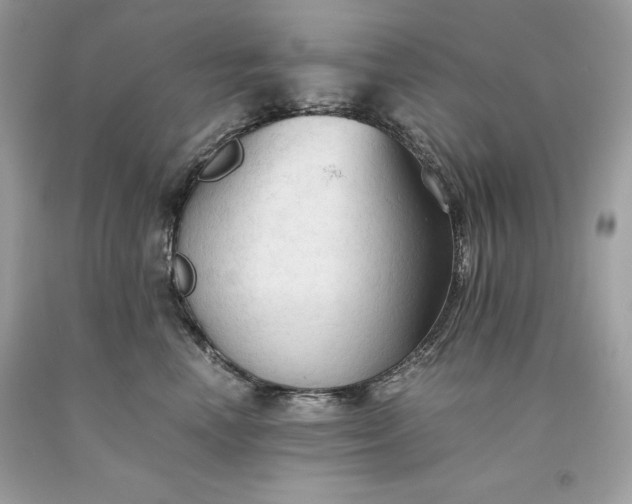 X0000093510666200710261158