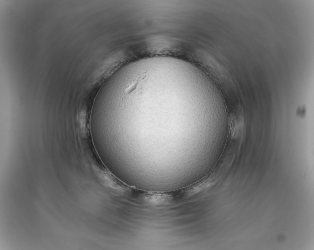 X0000093510670200710261158