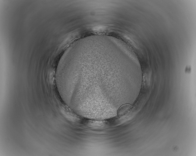 X0000093510671200710261158