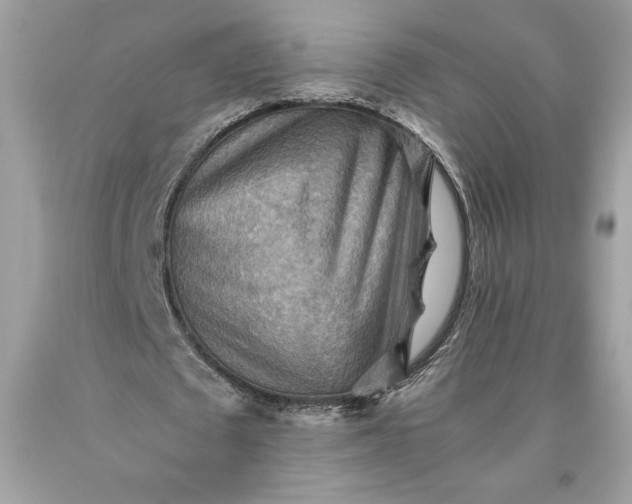 X0000093510673200710261158