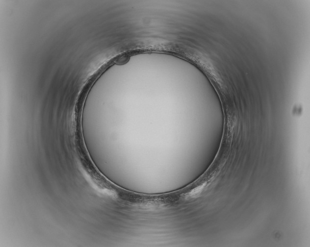 X0000093510674200710261158