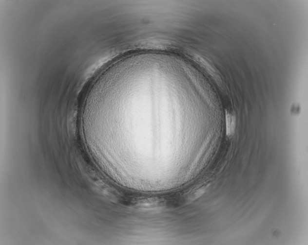 X0000093510675200710261158