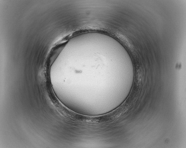 X0000093510680200710261158