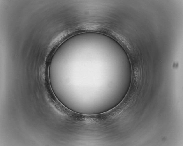 X0000093510682200710261158