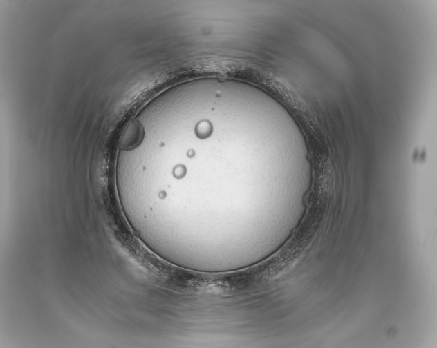 X0000093510683200710261158